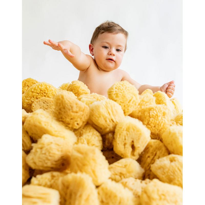 0964-lifestyle_65cfb49142261-800×800