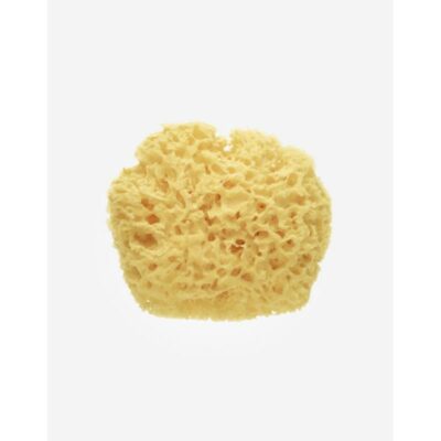 Esponja Natural Premium