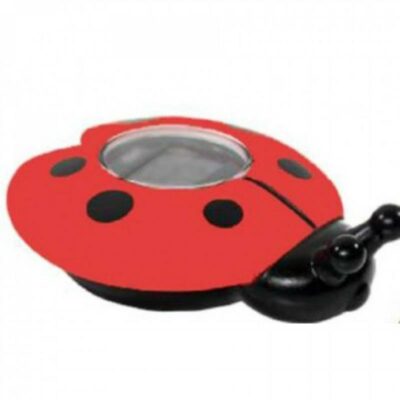 Termometro Baño Digital