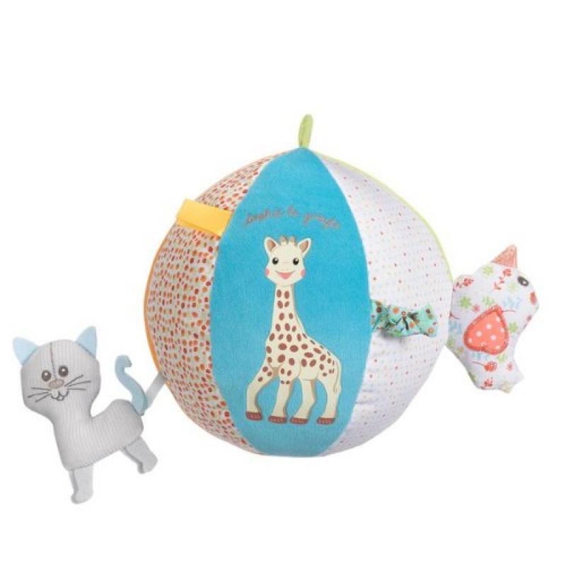 1571782623_bola-800×800