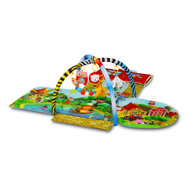 agnes-plus-village-alfombra-educativa-2_66f3e56ba9483-800×800