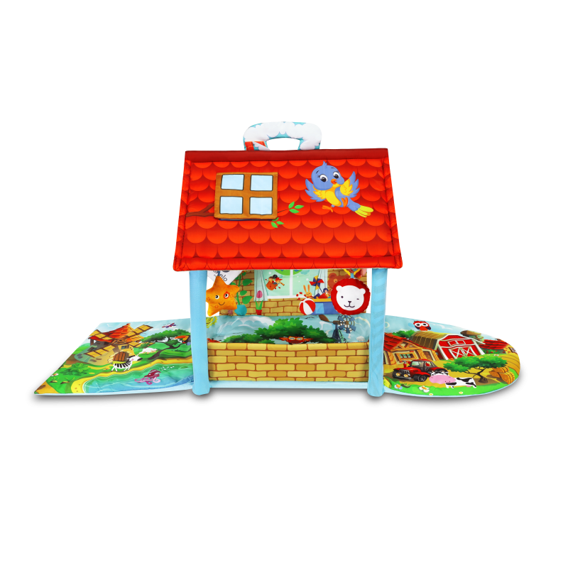 agnes-plus-village-alfombra-educativa-3_66f3e56ba95ea-800×800