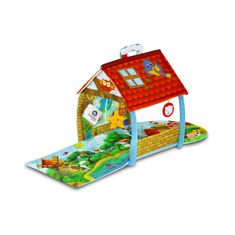 agnes-plus-village-alfombra-educativa_66f3e56ba8c82-800×800