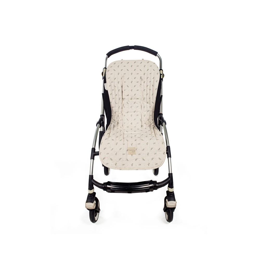 mimosa verde colchonetra